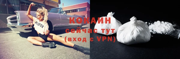 шишки Балабаново