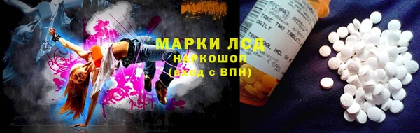 мяу мяу мука Аркадак