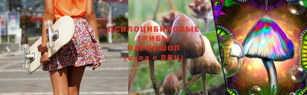 мяу мяу мука Аркадак